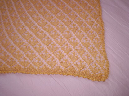 Aliseda Lace Shawl