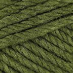 Fern (3309)