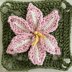 Amaryllis Belladonna Flower Granny Square