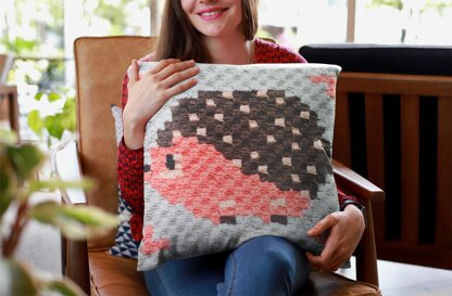 Hedge Hog C2C Crochet Graphgan Square