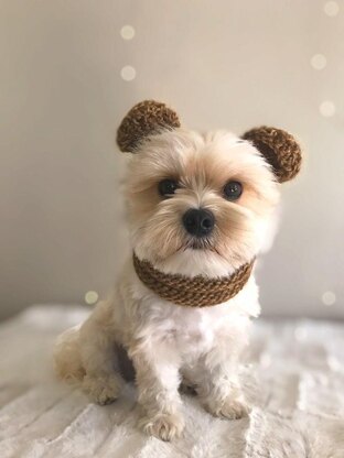 Olive Bear Dog Snood