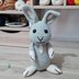 Rodney the Rabbit - US Terminology - Amigurumi