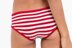 Old Glory Bikini Bottom and Panty