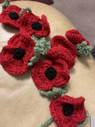 Poppy Appeal Poppies