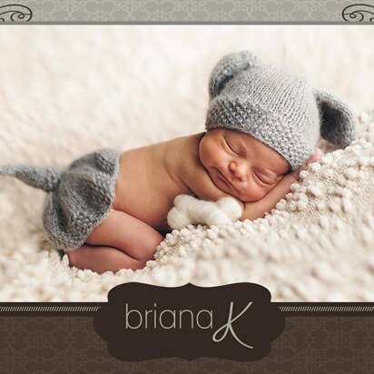 Puppy Dog Outfit with Bone Knit - knitting pattern