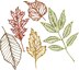 Sizzix Thinlits Dies By Tim Holtz 5/Pkg - Skeleton Leaves