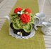 Geranium Tea Cosy