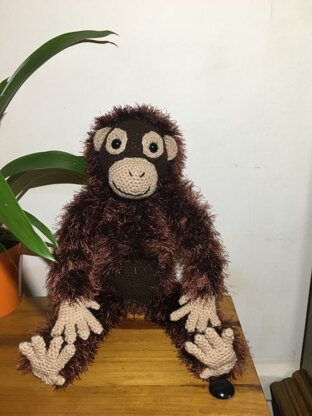 Orwell the monkey