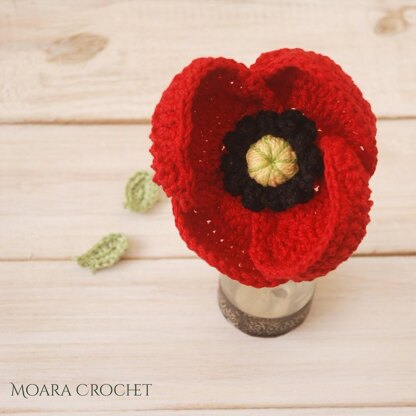 Poppy Flower