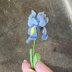 Iris flower