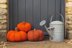 Pumpkin in Deramores Studio Chunky - Downloadable PDF