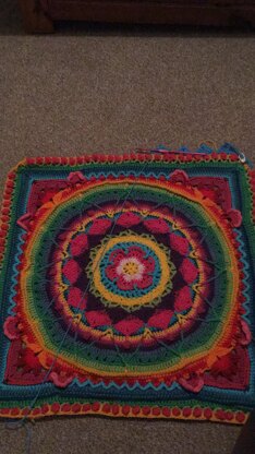 Sophie's universe