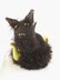 Scottie Dog Tea Cosy