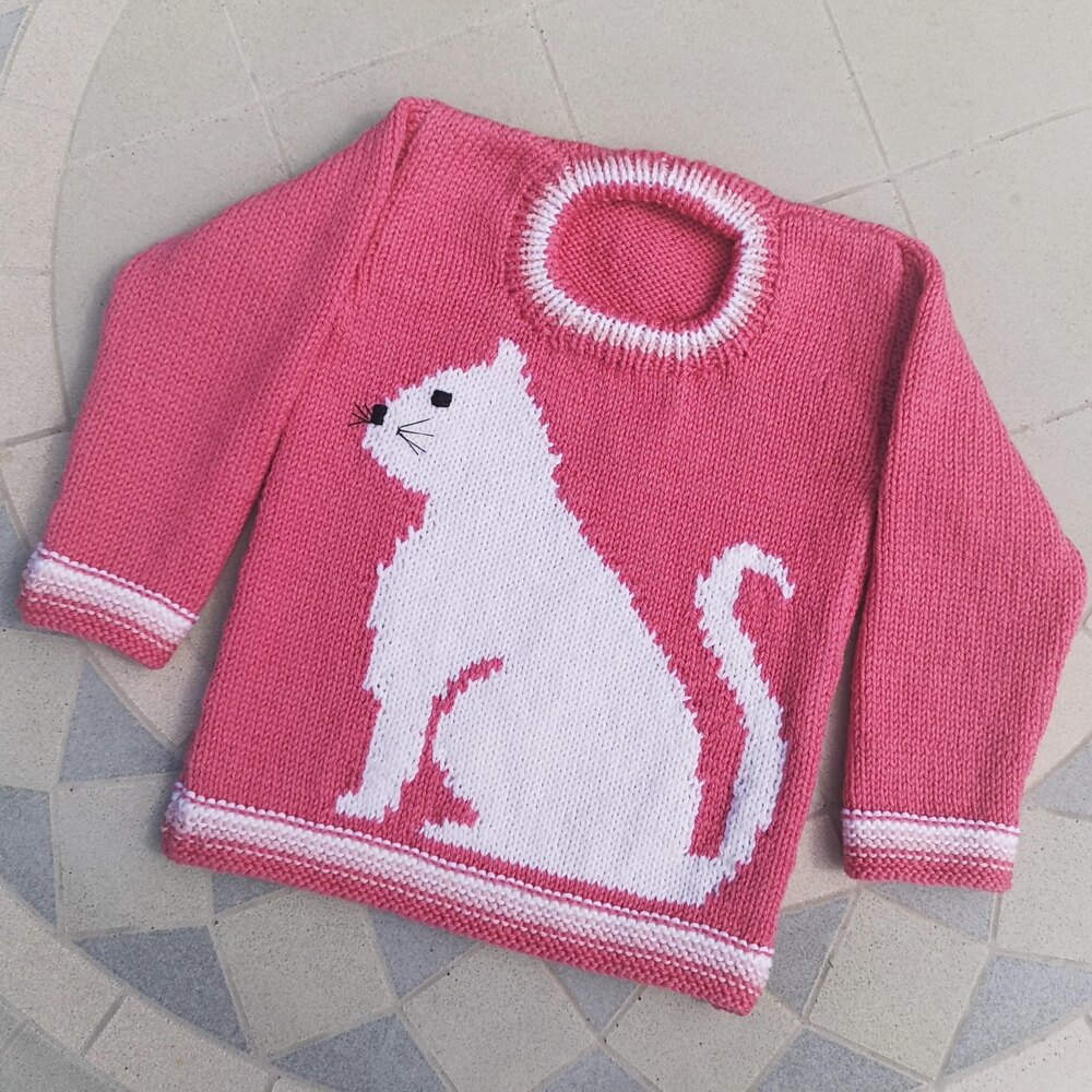 Cats Sweater | Hairless Cat In Sweater-Pink Simple Sweater