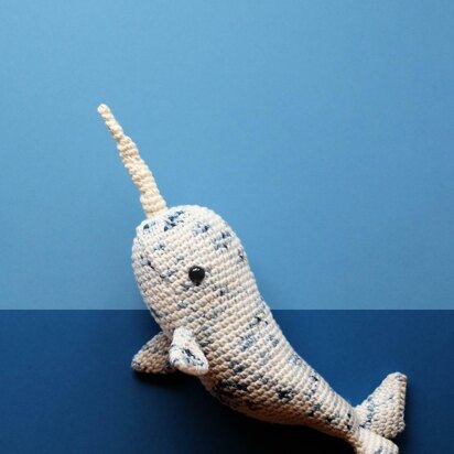 Stargazer Narwhal