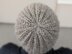 Unisex Winter  Hat