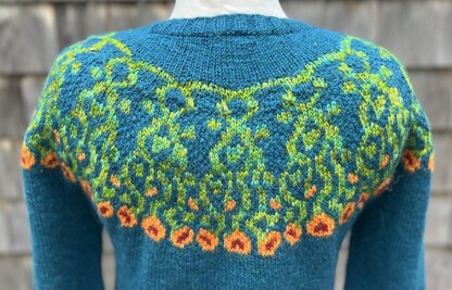 Isabella's Nasturtiums Pullover