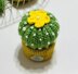 Cute Cactus Pincushion Crochet Pattern