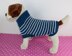 Dog Stripe Sweater