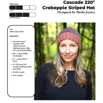 Crabapple Striped Hat  in Cascade Yarns Cascade 220® - W819 - Downloadable PDF
