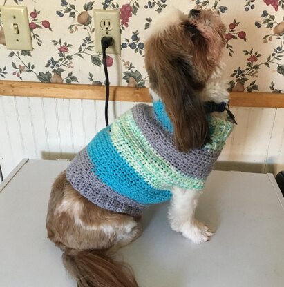 TJ's Dog Jumper Crochet pattern by Dawn Castillo