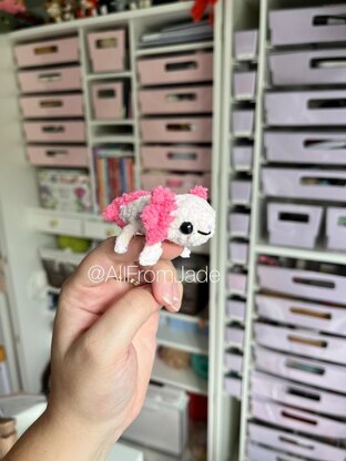 Baby Axolotl