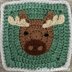 Woodland Animals Baby Blanket