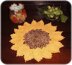 Sunflower doily