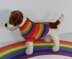 Small Dog Rainbow Back Button Up Dog Coat