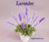 Lavender