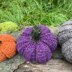 Pumpkin Patch Family [crochet]