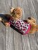 Vibrant Leopard Dog Sweater in Lion Brand Basic Stitch Anti-Pilling Yarn - M21105 BSAP - Downloadable PDF