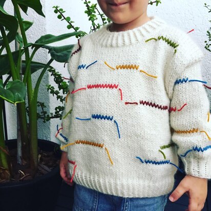 CRAYON sweater coolkids