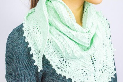 Explorer's Shawl