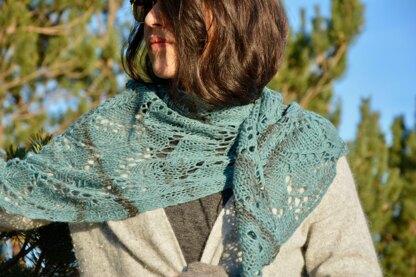 Icelandica Shawl