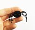 Teeny Tiny Spider