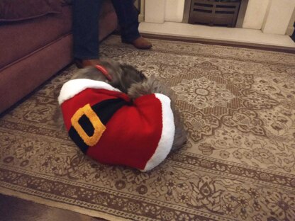 Santa dog coat