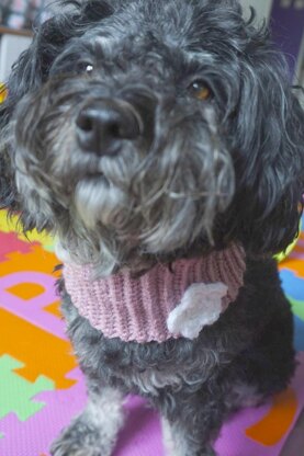 Crochet Pattern for the Dog Loop "Flower"