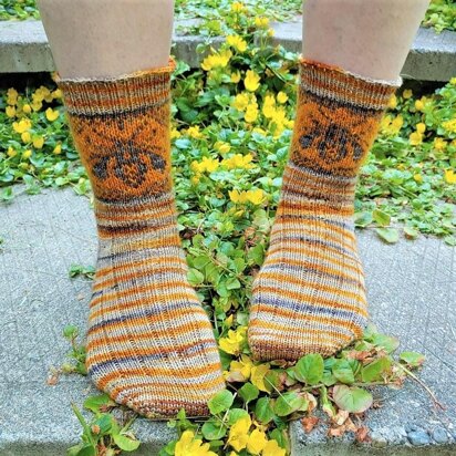 Hymenoptera Socks