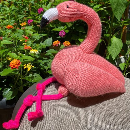 Mingo the Flamingo