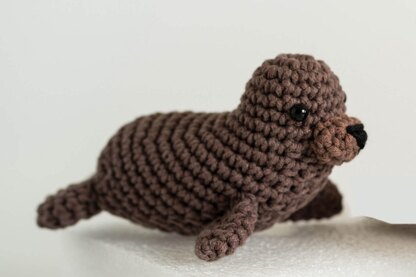 Baby Walrus Wally