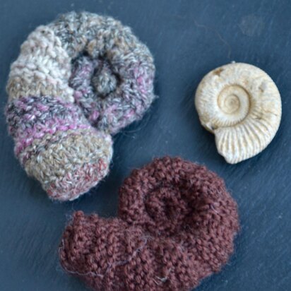 Ammonite