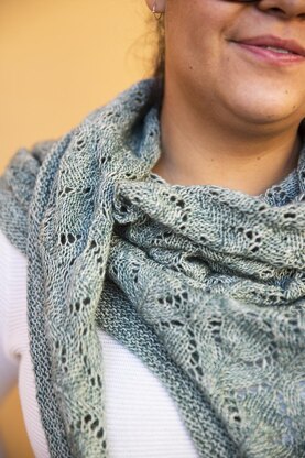 Hexapoda Shawl