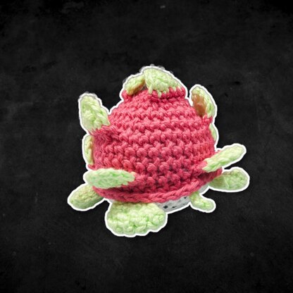 Fruit Turtle Series | Dragonfruit