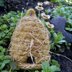 Queen Bee Hive Pincushion