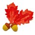 Realistic Red Oak Leaf & Acorn