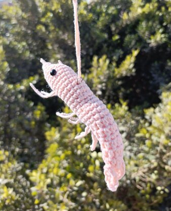 Crochet Shrimp