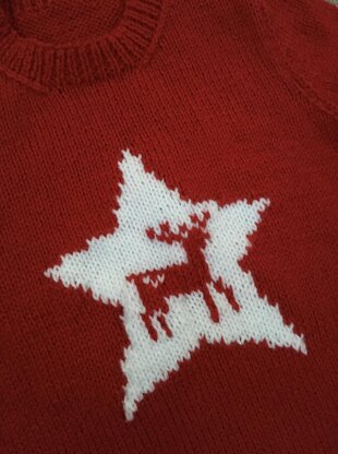 Reindeer Star sweater