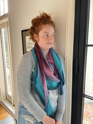 Dragonfly shawl