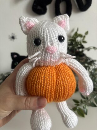 Pumpkin kitty